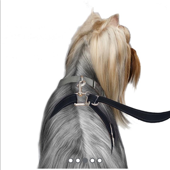 ThunderLeash No-Pull solution NWOT - Picture 3 of 7